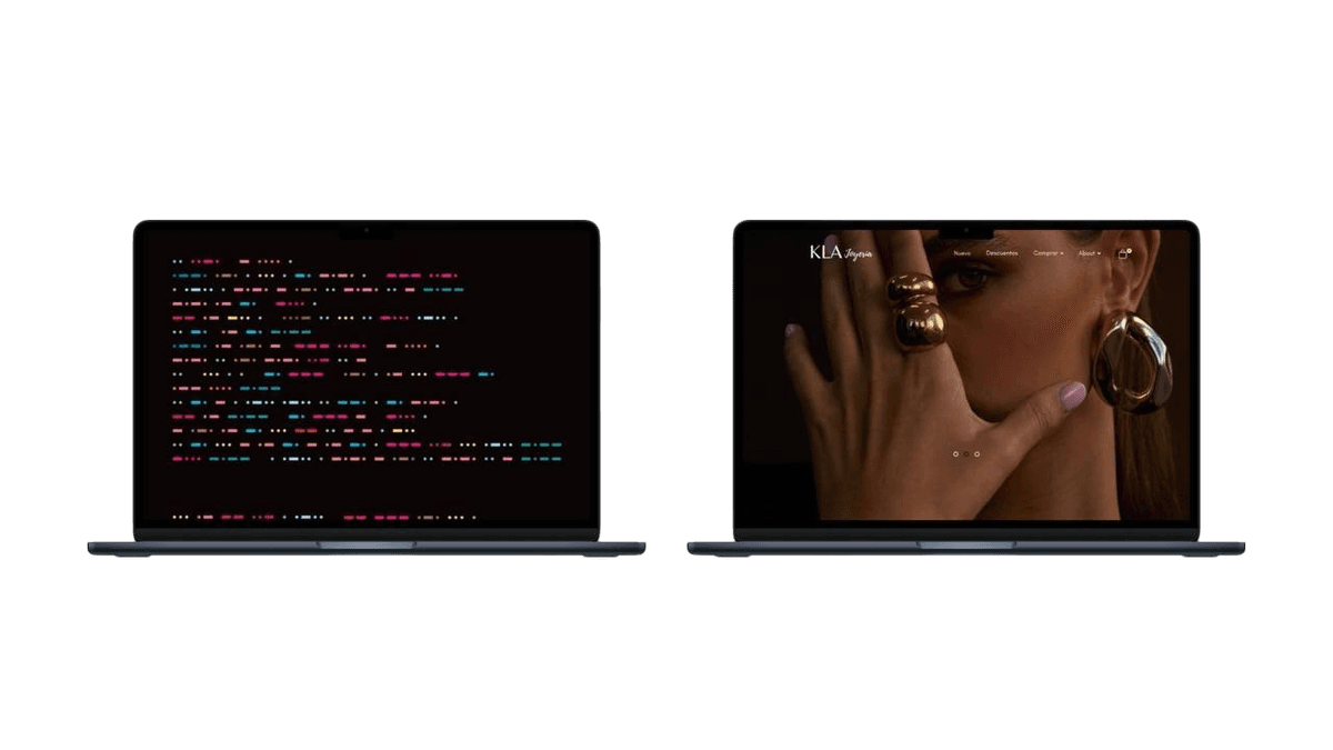 DESARROLLO WEB