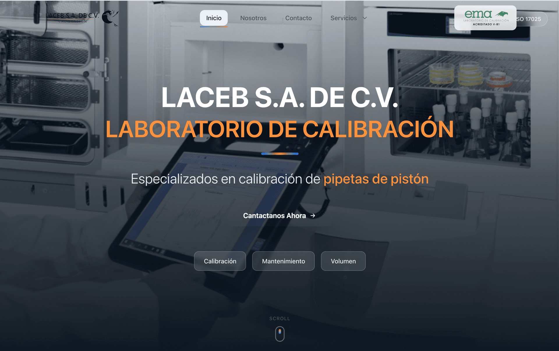 Laceb